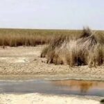 خشک شدن تالاب‌ها و پیامدهای زیست‌محیطی برای کودکان